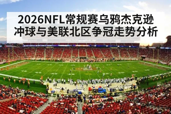american football stadium crowd